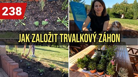 Schéma výsadby kavyľa v záhone