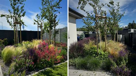 Kavyľ pestovaný v elegantnom črepníku na terase