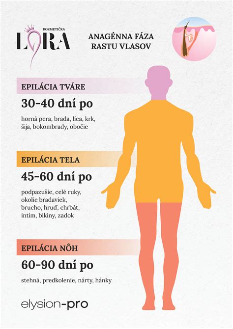 Diagram katagénnej fázy rastu chĺpka