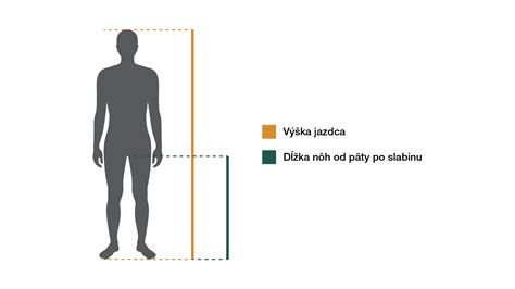 Schéma zastrihávania brady podľa dĺžky