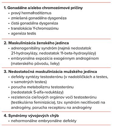Schéma zostupu semenníka