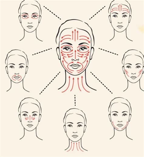 Schéma rozdelenia typov tváre a základné línie strihov
