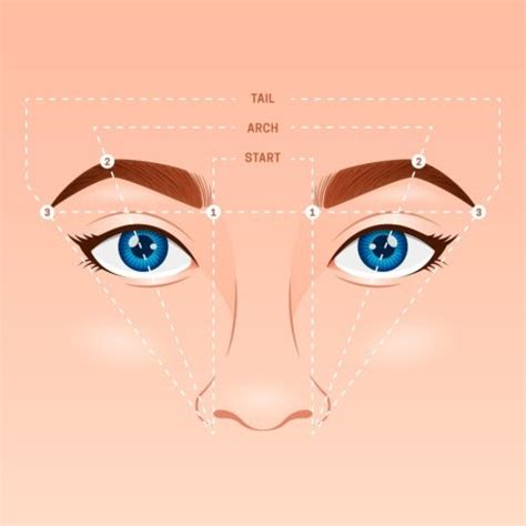schéma ideálneho tvaru obočia podľa bodov tváre