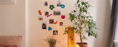 Koláž prírodných šampónov z tabuľky