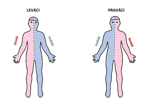 Muž alebo žena s rednúcimi vlasmi ukazujúci predtým a potom efekt zahusťovača