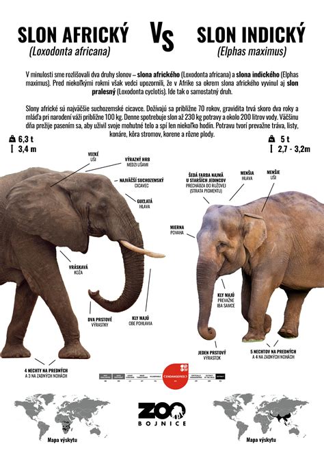 Infografika znázorňujúca rozdiel medzi rozpustnými a nerozpustnými silikónmi