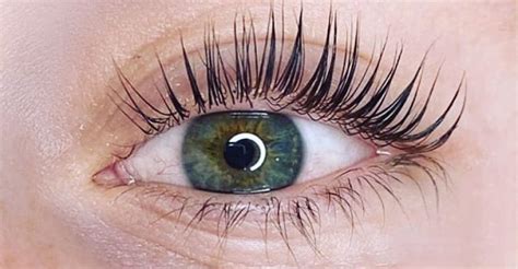 Rôzne typy riaseniek na mihalnice