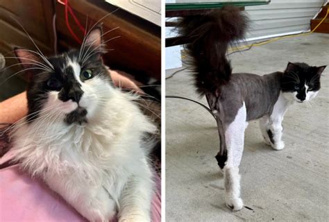 Muž s moderným účesom a starostlivo upravenou bradou