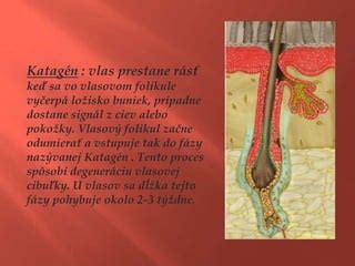 Proces posúdenia vlasov