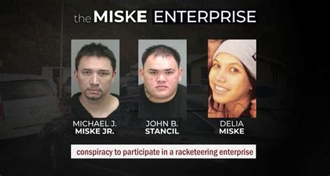 miešanie henny v miske s prírodnými prísadami