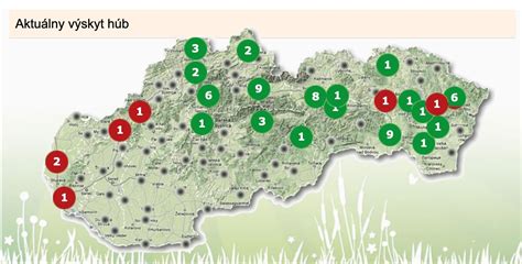 Mapa rastu chĺpkov v intímnej oblasti
