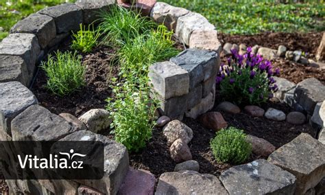 bylinky používané v prírodnej kozmetike