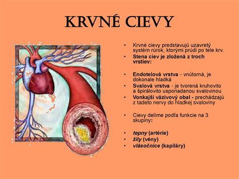 Vplyv tepla na rozšírené cievy