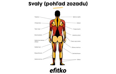Vizualizácia sakrálnej jamky na dolnej časti chrbta