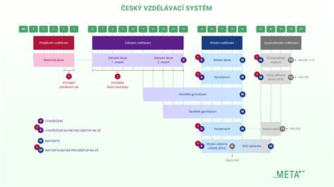 Schéma systému Microline ukazujúca integráciu sieťky s prirodzenými vlasmi
