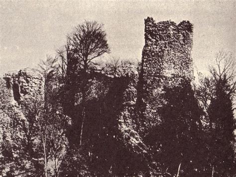 Historické vyobrazenia francúzskych vrkočov