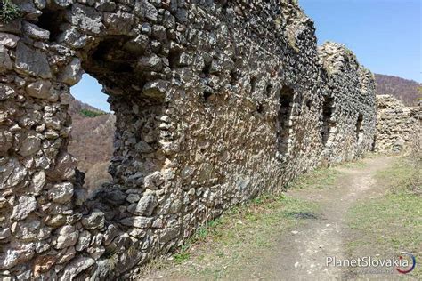 detailný pohľad na štruktúru rybieho vrkoča