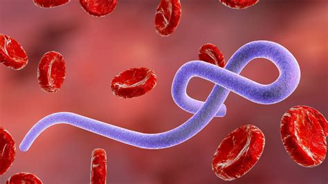 Detailný záber na profesionálnu kozmetickú pinzetu Solingen