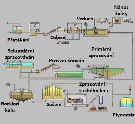 schéma čistenia vlasového vlákna od nečistôt a stylingu