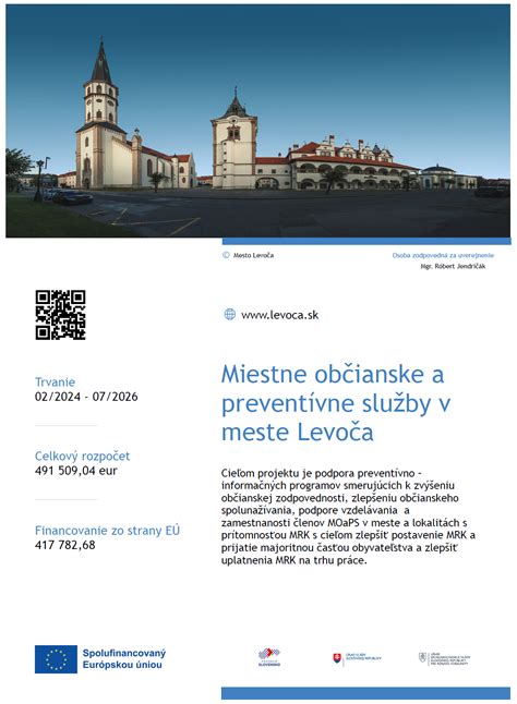 Infografika: Kľúčové služby v meste
