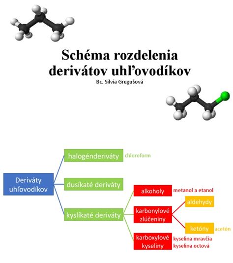 Schéma rozdelenia vlasov pri strihaní typu garcon