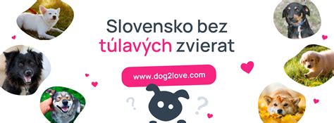kúpanie psa v domácom prostredí