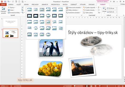 Koláž obrázkov zobrazujúcich rôzne štýly úpravy intímnych partií
