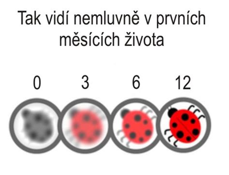 Vývoj zraku u novorodenca