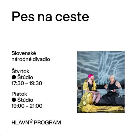 Pes na rovine počas merania
