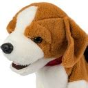 pes plniaci povely majiteľa na cvičisku