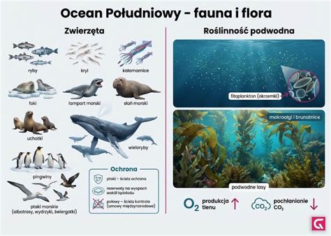 Infografika o technológii Ocean Silk