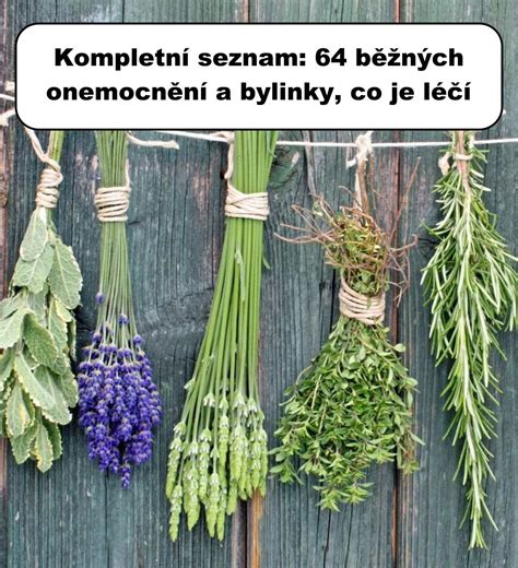 zloženie pivného šampónu a bylinky
