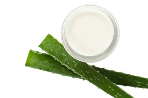 Ilustrácia pleťového krému s aloe vera