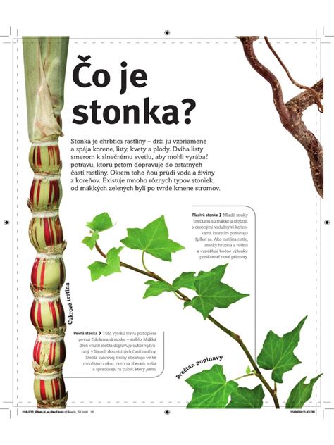 Ukážka techniky bodového strihania