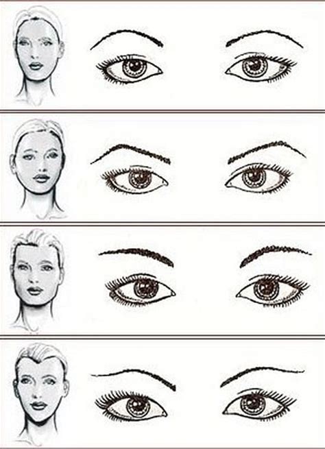 schéma ideálneho tvaru obočia vzhľadom k črtám tváre