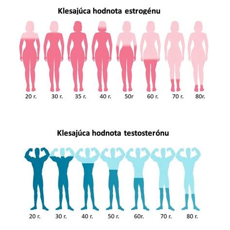 Schéma hormonálnej regulácie u žien