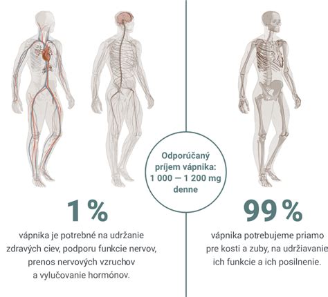 Schéma rastu ochlpenia a typy ochlpenia na ľudskom tele