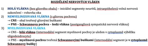 Schéma intímneho ochlpenia a jeho nervových zakončení
