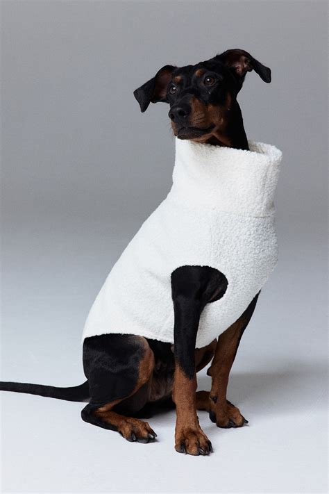 Psí obleček z recyklovaných materiálov