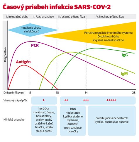 Graf znázorňujúci časový priebeh účinnosti šampónu