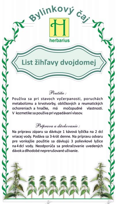 Ilustrácia žihľavy dvojdomej s detailom listov a pŕhlivých chĺpok