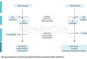 Obrázok: Diagram účinku re-pigmentačného komplexu