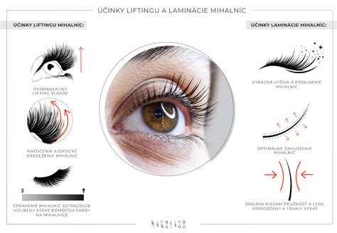 Ilustrácia pred a po laminácii obočia a lash liftingu rias