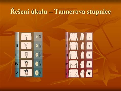Tannerova stupnica vývoja pubického ochlpenia