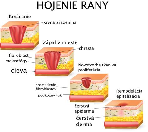 Fázy hojenia tetovaného obočia