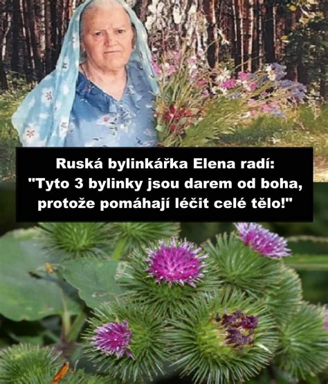 Fotografia koreňa lopúcha