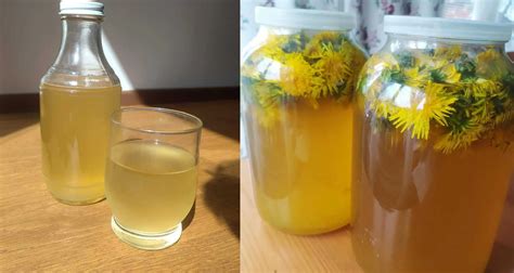 Recept: Domáca príprava lopúchového oleja