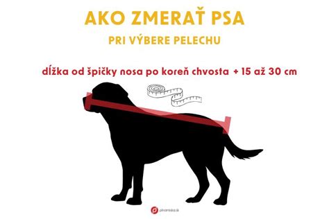 Faktory pri výbere šampónu pre psa