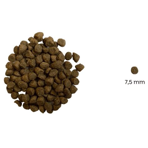 Zloženie kompletného krmiva pre psov