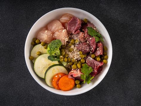 Rôzne typy krmív pre psov (suché, mokré, BARF)